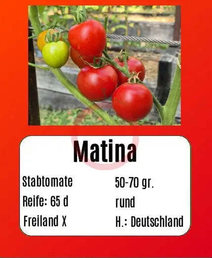 Matina DER TOMATENFLÜSTERER