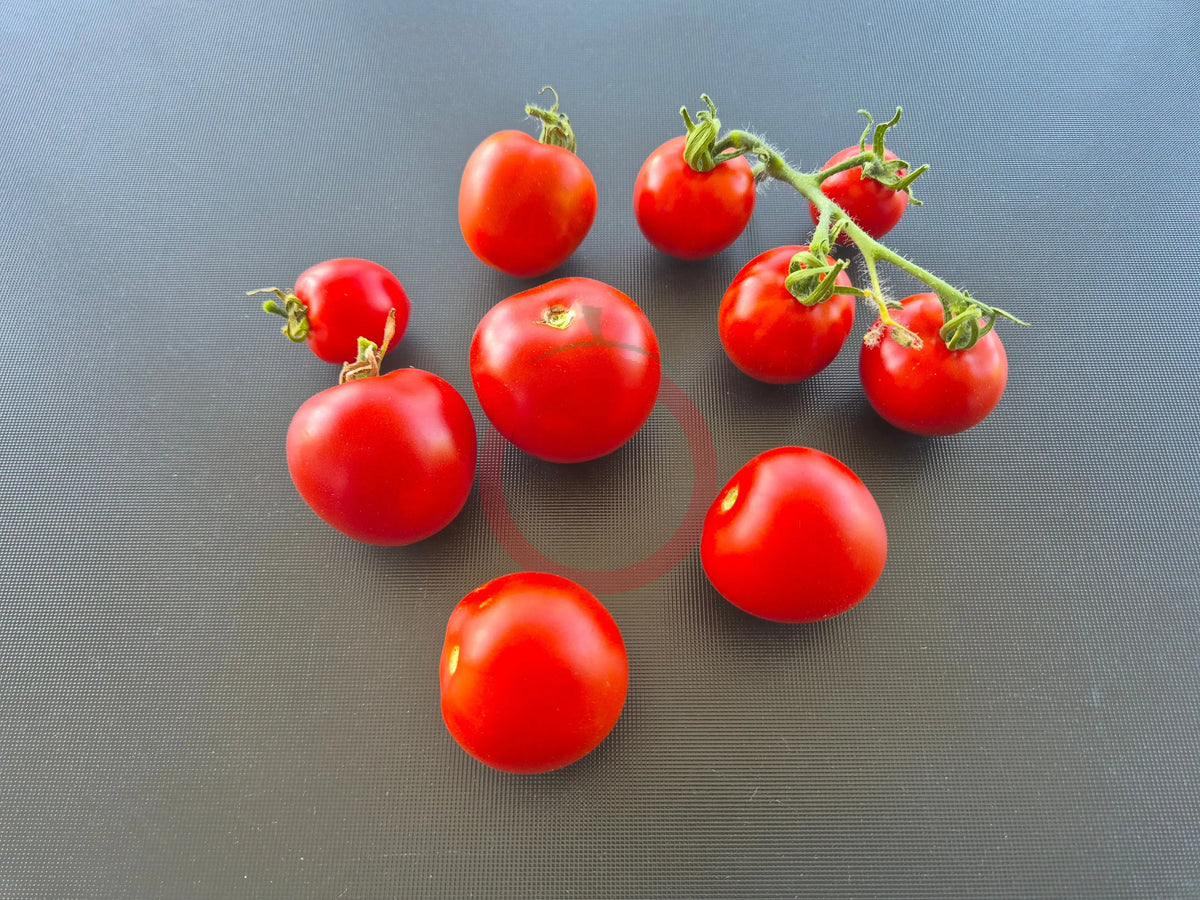 Matina DER TOMATENFLÜSTERER