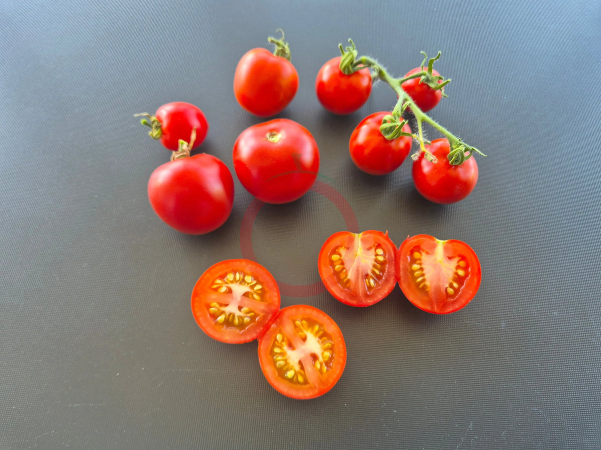 Matina DER TOMATENFLÜSTERER