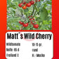 Matt´s Wild Cherry DER TOMATENFLÜSTERER