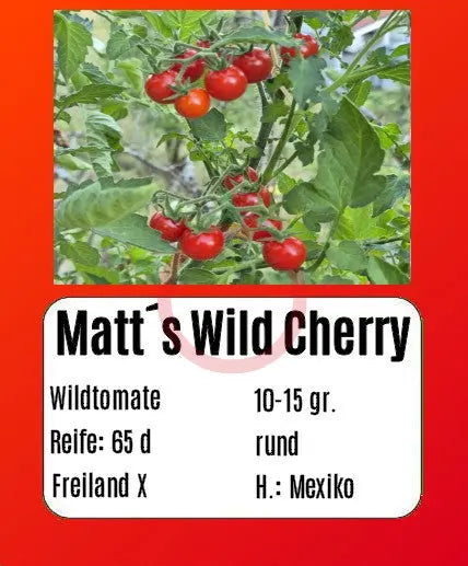 Matt´s Wild Cherry DER TOMATENFLÜSTERER