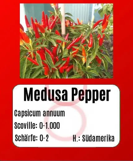Medusa Pepper DER TOMATENFLÜSTERER
