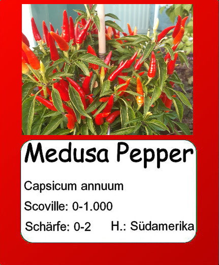 Medusa Pepper DER TOMATENFLÜSTERER