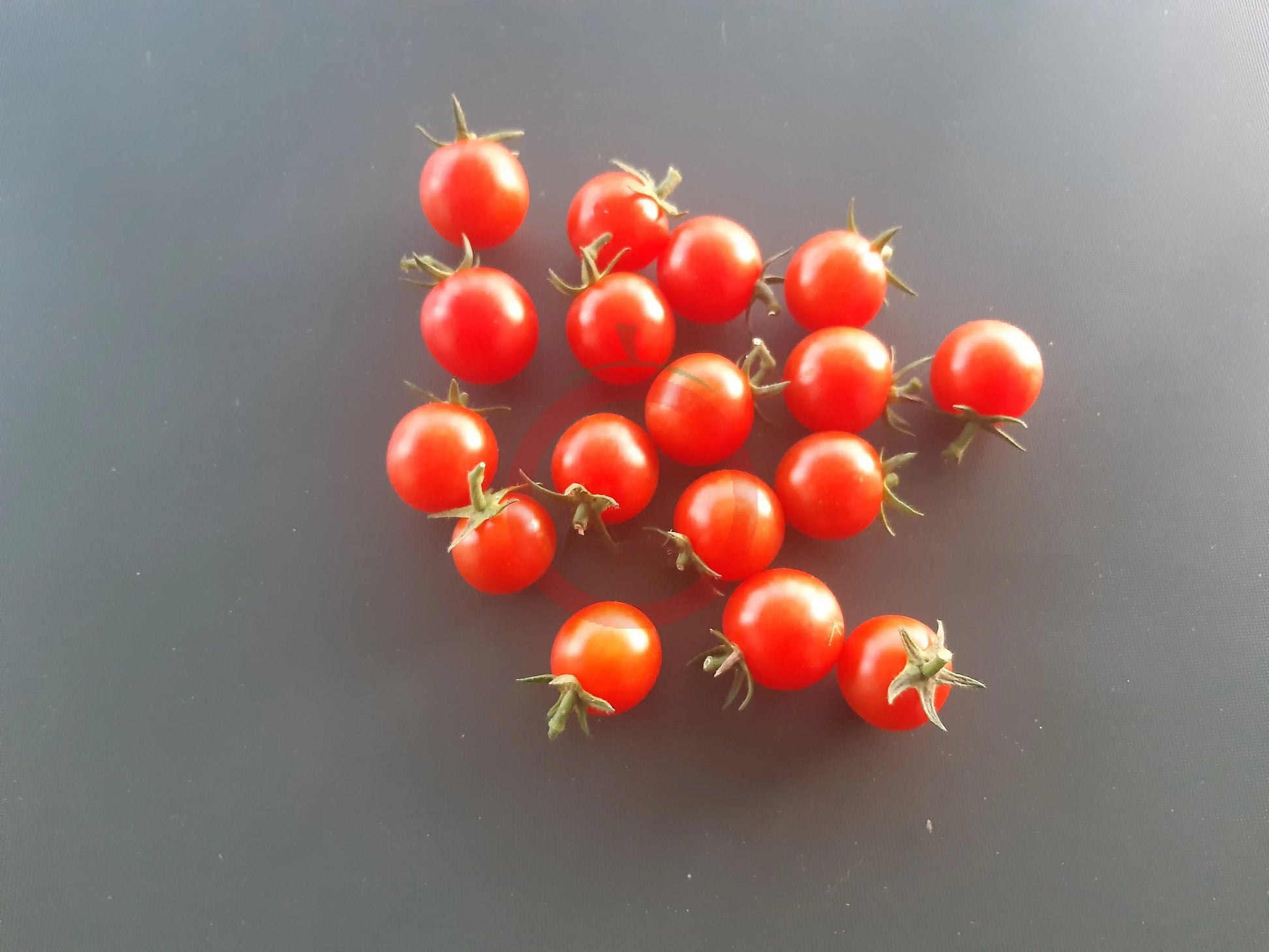 Mei Wei DER TOMATENFLÜSTERER