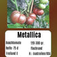 Metallica DER TOMATENFLÜSTERER