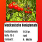 Mexikanische Honigtomate DER TOMATENFLÜSTERER