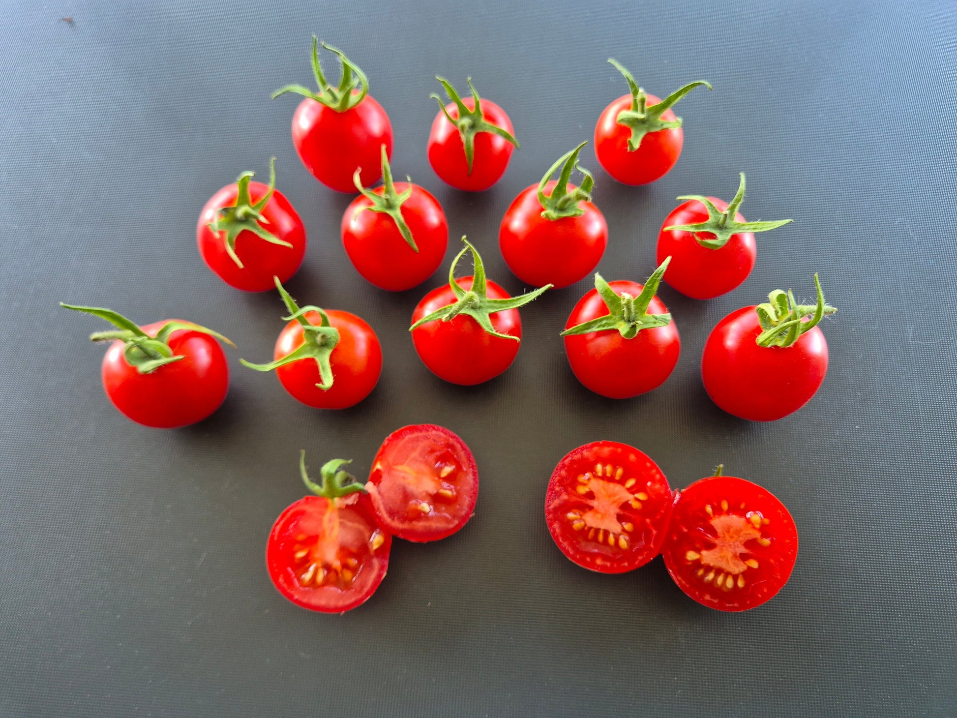 Mexikanische Honigtomate DER TOMATENFLÜSTERER