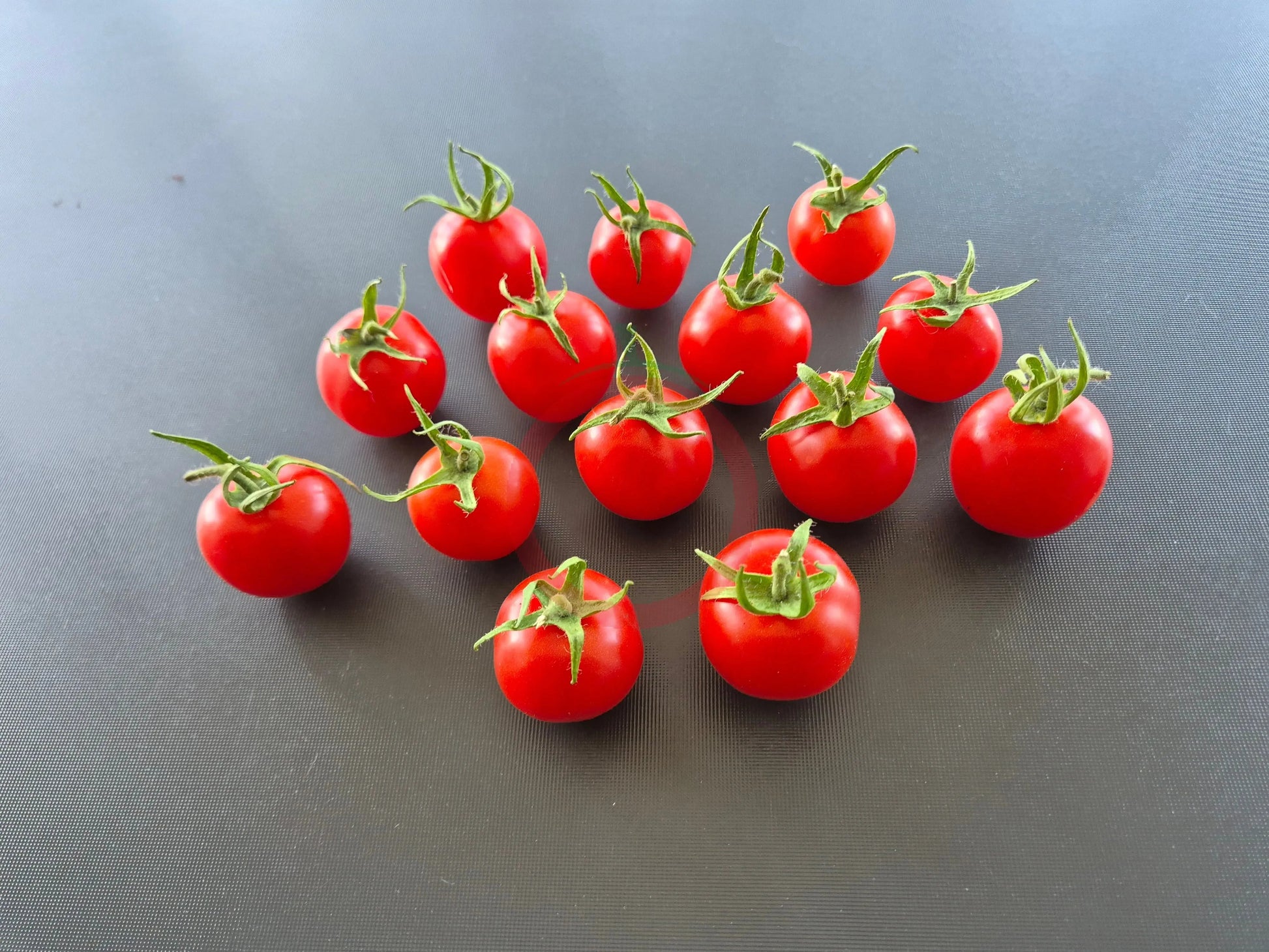 Mexikanische Honigtomate DER TOMATENFLÜSTERER
