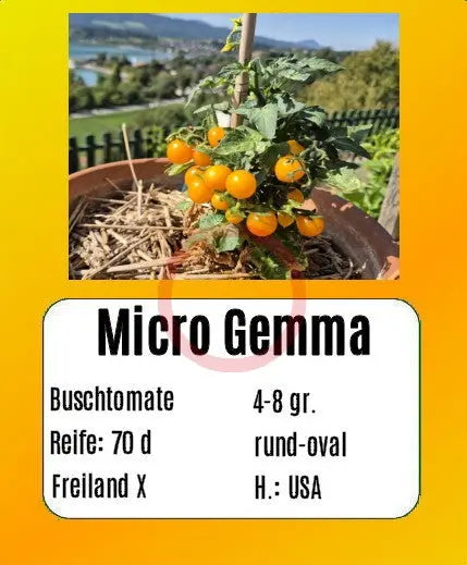 Micro Gemma DER TOMATENFLÜSTERER