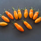Midas DER TOMATENFLÜSTERER