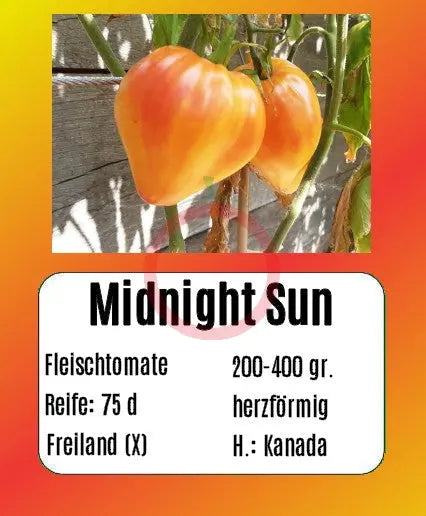 Midnight Sun DER TOMATENFLÜSTERER