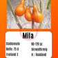 Mila DER TOMATENFLÜSTERER