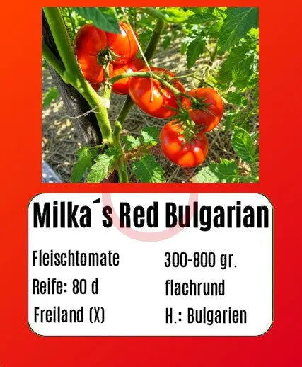 Milkas Red Bulgarian DER TOMATENFLÜSTERER