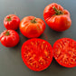 Milkas Red Bulgarian DER TOMATENFLÜSTERER