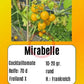Mirabell DER TOMATENFLÜSTERER