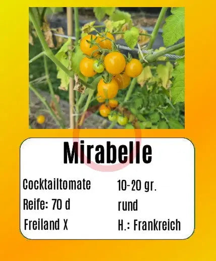 Mirabell DER TOMATENFLÜSTERER