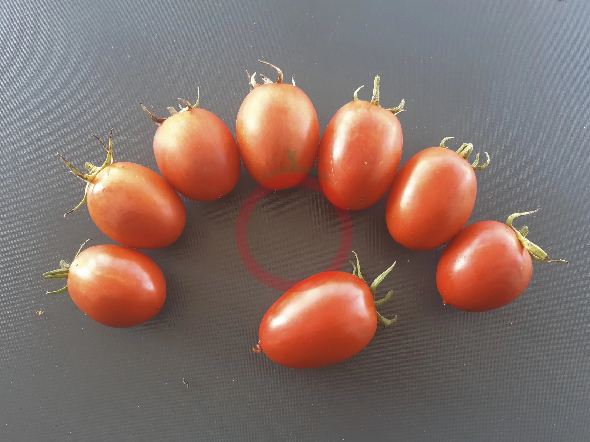 Mom´s Paste DER TOMATENFLÜSTERER