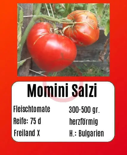 Momini Salzi DER TOMATENFLÜSTERER