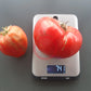 Momini Salzi DER TOMATENFLÜSTERER