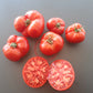 Mongolskiy Karlik DER TOMATENFLÜSTERER