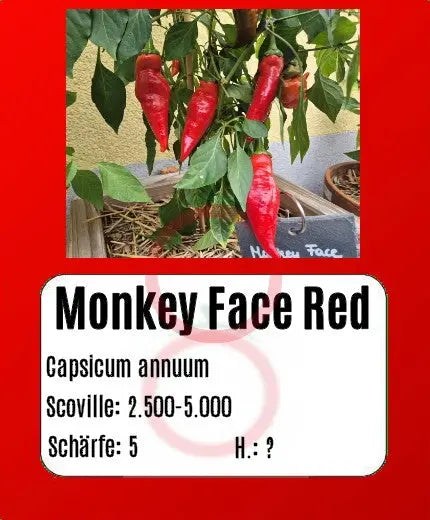 Monkey Face Red DER TOMATENFLÜSTERER