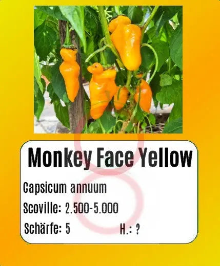 Monkey Face Yellow DER TOMATENFLÜSTERER