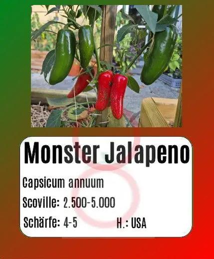 Monster Jalapeno DER TOMATENFLÜSTERER