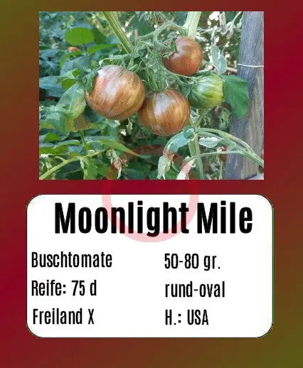 Moonlight Mile DER TOMATENFLÜSTERER