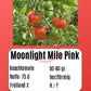 Moonlight Mile Pink DER TOMATENFLÜSTERER