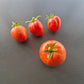Moonlight Mile Pink DER TOMATENFLÜSTERER