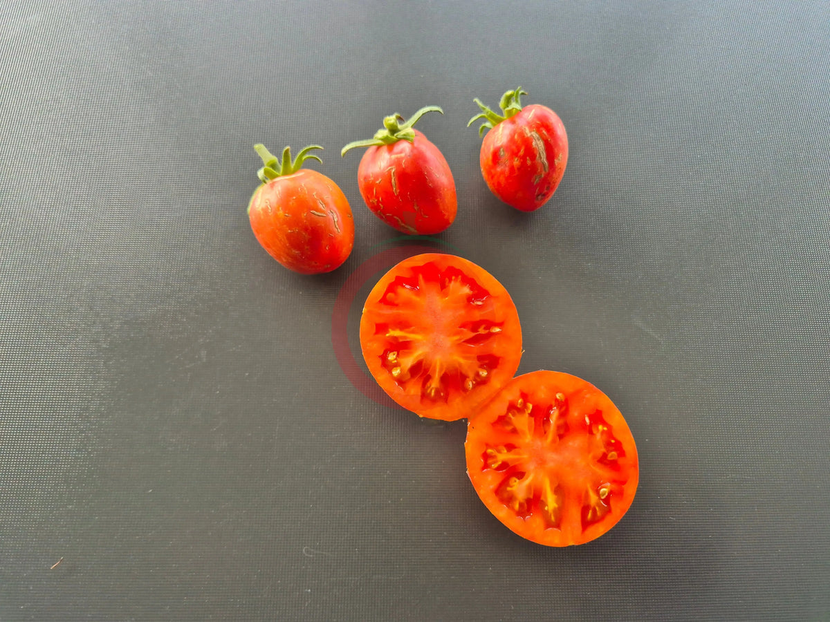 Moonlight Mile Pink DER TOMATENFLÜSTERER