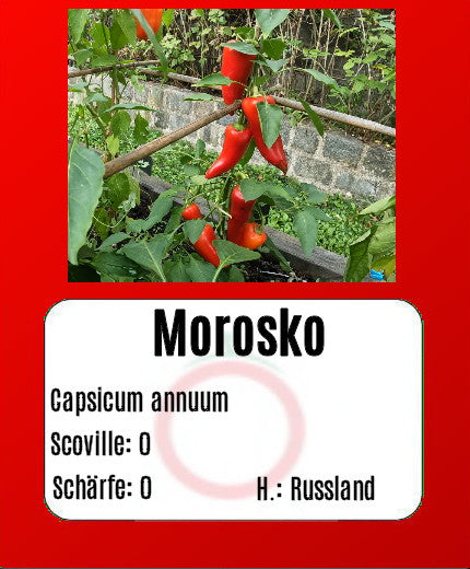 Morosko DER TOMATENFLÜSTERER