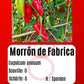 Morrón de Fabrica DER TOMATENFLÜSTERER