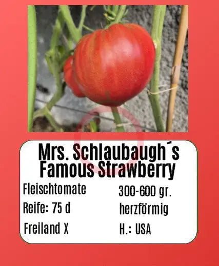 Mrs. Schlaubaugh's Famous Strawberry DER TOMATENFLÜSTERER