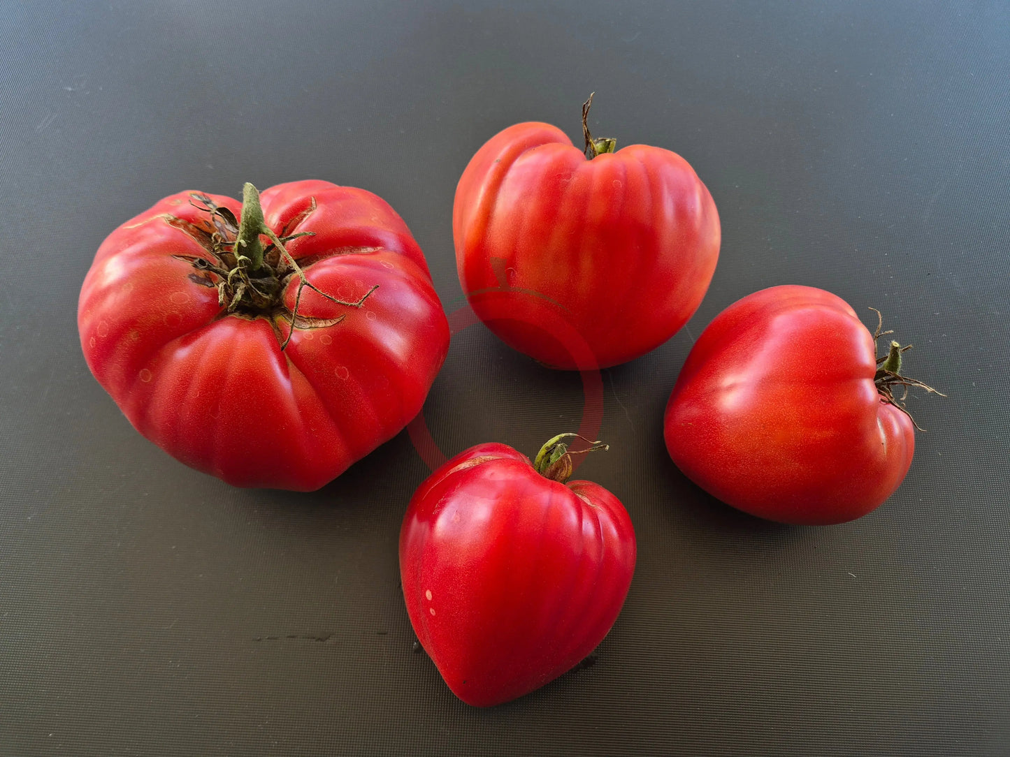 Mrs. Schlaubaugh's Famous Strawberry DER TOMATENFLÜSTERER