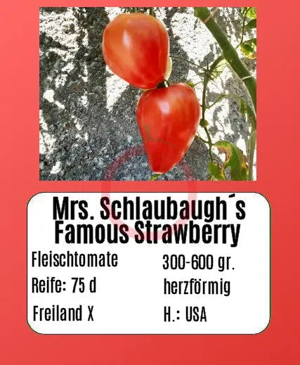 Mrs. Schlaubaugh's Famous Strawberry DER TOMATENFLÜSTERER