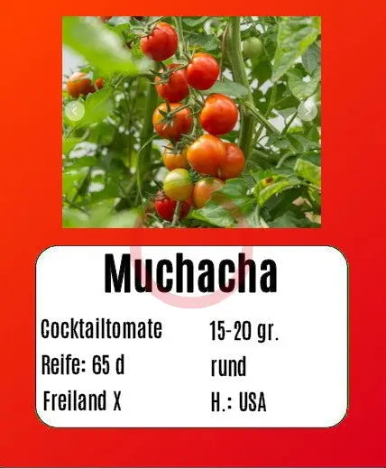 Muchacha DER TOMATENFLÜSTERER