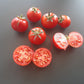 Muchacha DER TOMATENFLÜSTERER