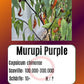 Murupi Purple DER TOMATENFLÜSTERER