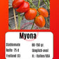 Myona DER TOMATENFLÜSTERER
