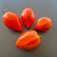 Myona DER TOMATENFLÜSTERER