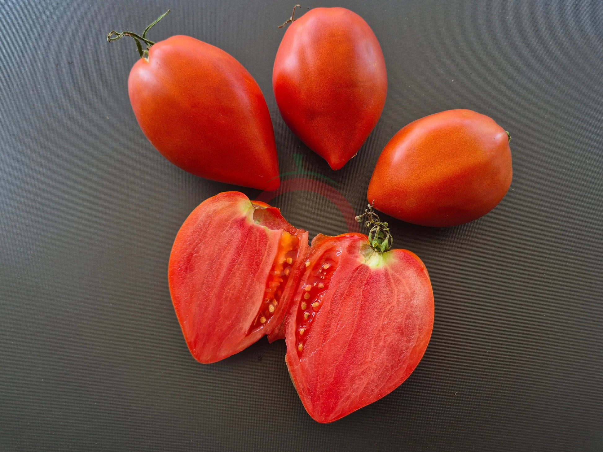 Myona DER TOMATENFLÜSTERER