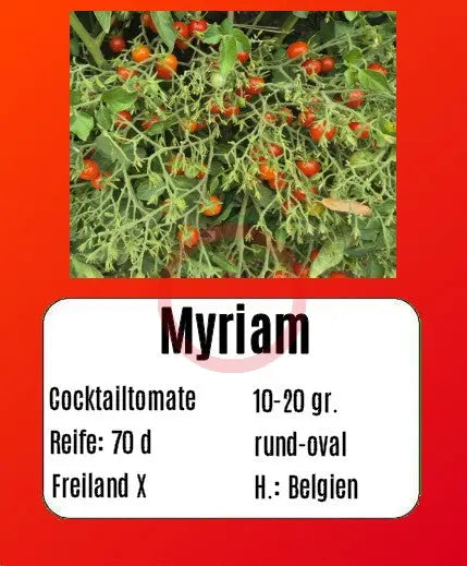 Myriam DER TOMATENFLÜSTERER