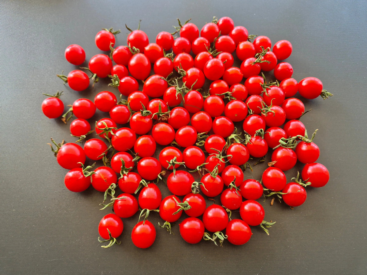 Myriam DER TOMATENFLÜSTERER