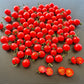 Myriam DER TOMATENFLÜSTERER