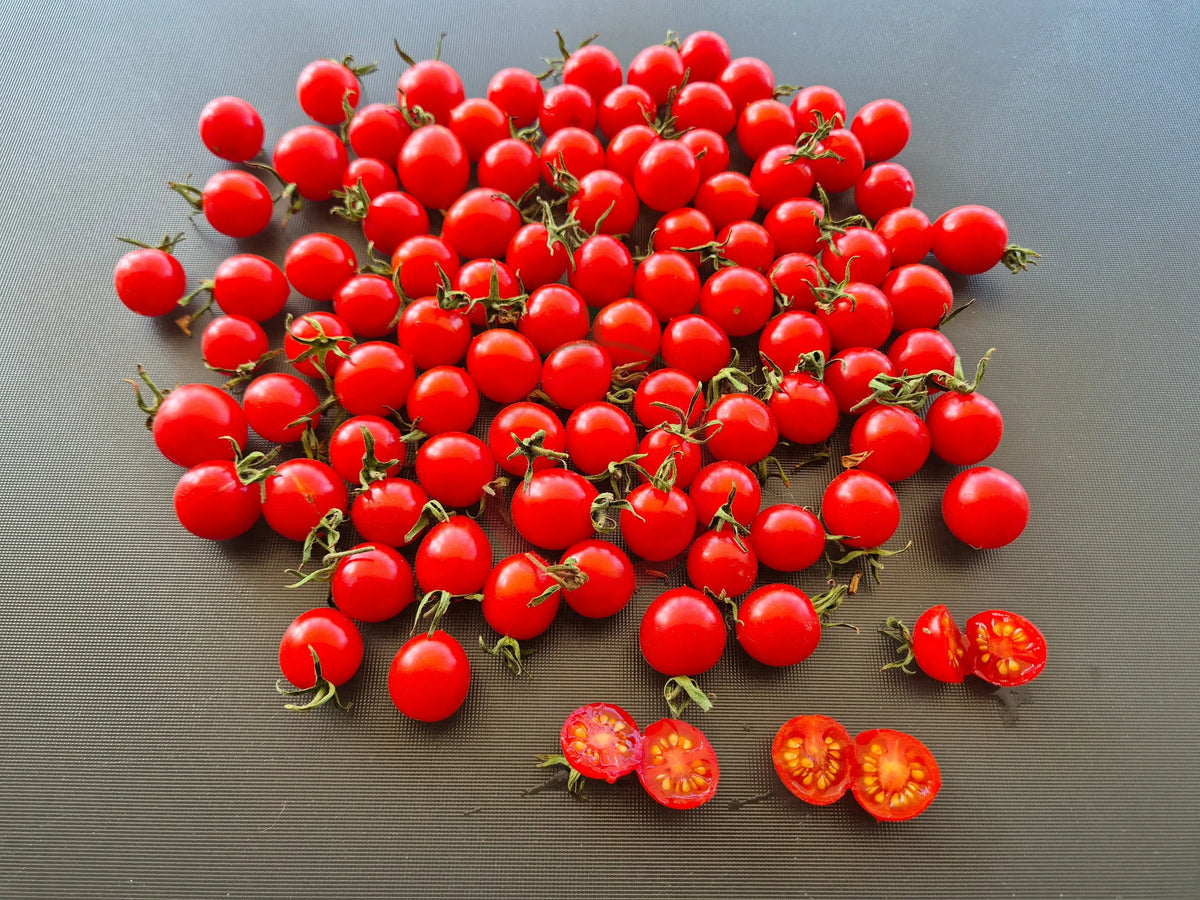 Myriam DER TOMATENFLÜSTERER