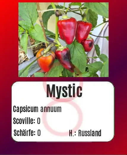 Mystic DER TOMATENFLÜSTERER