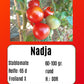 Nadja DER TOMATENFLÜSTERER
