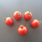 Nadja DER TOMATENFLÜSTERER