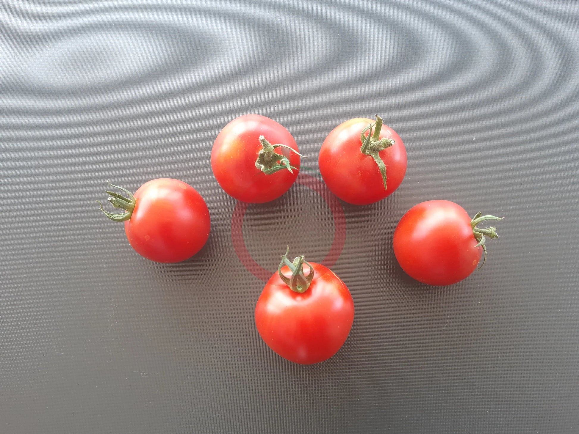 Nadja DER TOMATENFLÜSTERER